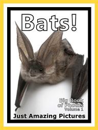 Icon image Just Bats! vol. 1: Big Book of Photographs & Bat Pictures