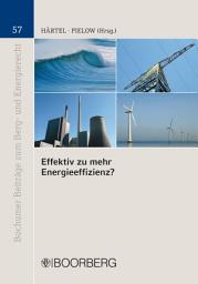 Icon image Effektiv zu mehr Energieeffizienz?: Dokumentation der XV. Jahrestagung des Instituts für Berg- und Energierecht am 19. Mai 2011