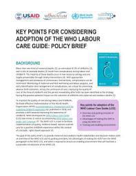 Icon image Key points for considering adoption of the WHO labour care guide: policy brief