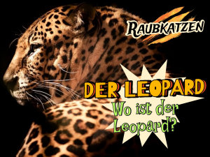 Icon image Wo ist der Leopard?