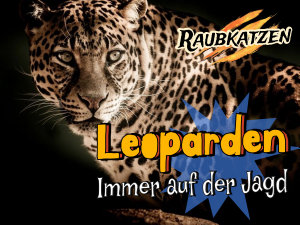 Icon image Leoparden: Immer auf der Jagd