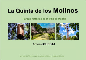 Icon image La Quinta de los Molinos