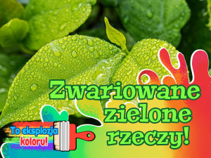 Icon image Zwariowane zielone rzeczy!