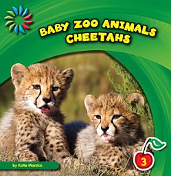 Icon image Cheetahs