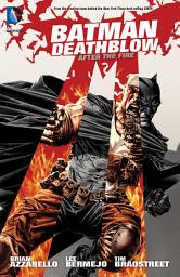 Icon image Batman/Deathblow: After the Fire