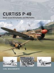 Icon image Curtiss P-40: Snub-nosed Kittyhawks and Warhawks