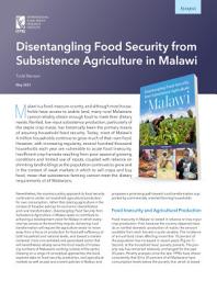 Icon image Disentangling food security from subsistence agriculture in Malawi: Synopsis