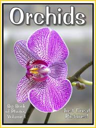 Icon image Just Orchids! vol. 1: Big Book of Orchid Flowers Plants Photographs & Pictures