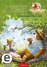 Icon image Hase und Holunderbär - Die Geburtstagsüberraschung: Eine Abenteuergeschichte von Walko