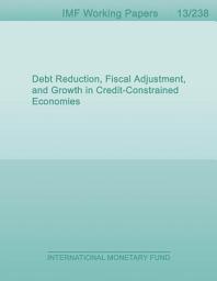 Icon image Debt Reduction, Fiscal Adjustment, and Growth in Credit-Constrained Economies