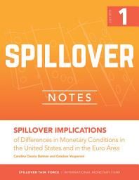 Icon image Spillover Implications of Differences in Monetary Conditions in the United States and the Euro Area