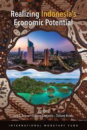 Icon image Realizing Indonesia's Economic Potential