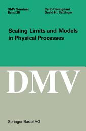 Icon image Scaling Limits and Models in Physical Processes