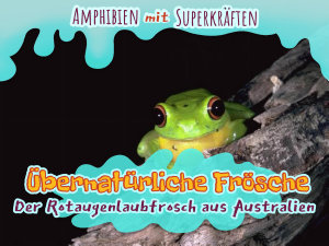 Icon image Übernatürliche Frösche: Der Rotaugenlaubfrosch aus Australien