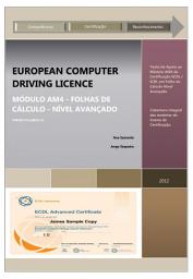 Icon image ECDL Excel European Computer Driving Licence: Módulo AM4 - Folhas de Cálculo - Nível Avançado Versão Syllabus 1.0