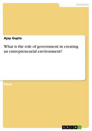 Icon image What is the role of government in creating an entrepreneurial environment?