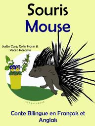 Icon image Souris - Mouse: Conte Bilingue en Français et Anglais: Apprendre l'anglais