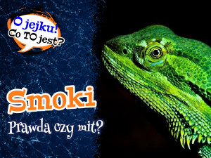 Icon image Smoki: prawda czy mit?