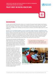 Icon image Consolidated guidelines on person-centred HIV strategic information: strengthening routine data for impact. Policy brief on digital health data