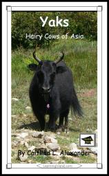 Icon image Yaks: Hairy Cows of Asia: Educational Version