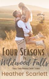 Icon image Four Seasons in Wildwood Falls: Small town romance boxset