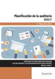 Icon image Planificación de la auditoría