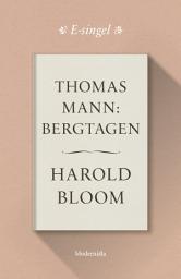 Icon image Thomas Mann: Bergtagen