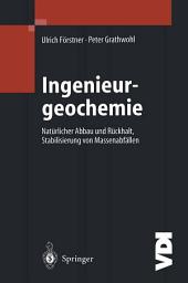 Icon image Ingenieurgeochemie: Technische Geochemie - Konzepte und Praxis