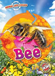 Icon image Bee: Animal Life Cycles