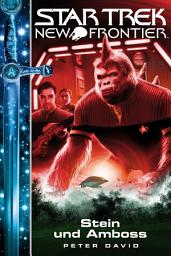 Icon image Star Trek - New Frontier 13: Stein und Amboss