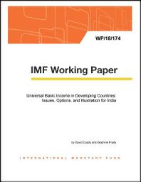 Icon image Universal Basic Income in Developing Countries: Issues, Options, and Illustration for India