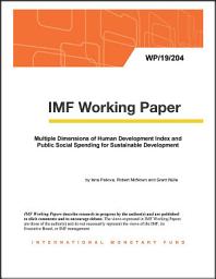 Icon image Multiple Dimensions of Human Development Index and Public Social Spending for Sustainable Development