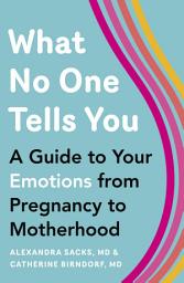 Icon image What No One Tells You: A Guide to Your Emotions from Pregnancy to Motherhood