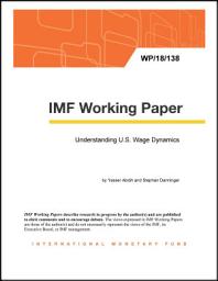 Icon image Understanding U.S. Wage Dynamics