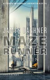 Icon image Maze Runner - Feberen: Maze Runner 5