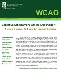 Icon image Collective Action among African Smallholders: Trends and Lessons for Future Development Strategies