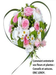 Icon image Comment entretenir vos fleurs et plantes :: Conseils et astuces.