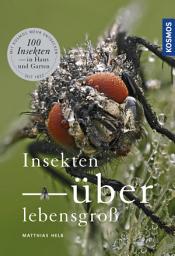 Icon image Insekten überlebensgroß