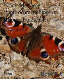 Icon image Bunte Schmetterlinge in schöner Landschaft: Ein BILDBAND