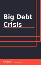 Icon image Big Debt Crisis