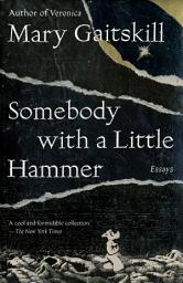 Icon image Somebody with a Little Hammer: Essays