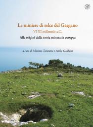 Icon image Le miniere di selce del Gargano VI-III millennio a.C. Alle origini della storia mineraria europea - Rassegna di archeologia preistorica e protostorica 24/A 2009-2011