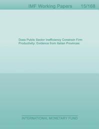 Icon image Does Public Sector Inefficiency Constrain Firm Productivity: Evidence from Italian Provinces