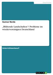 Icon image „Blühende Landschaften“? Probleme im wiedervereinigten Deutschland