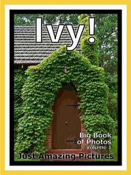 Icon image Just Ivy Plants! vol. 1: Big Book of Ivy Plant Photographs & Pictures