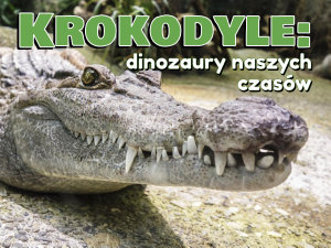 Icon image Krokodyle: dinozaury naszych czasów