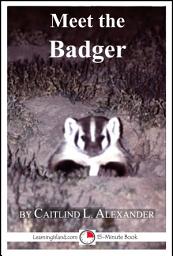 Icon image Meet the Badger: A 15-Minute Book for Early Readers