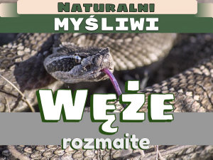 Icon image Węże rozmaite