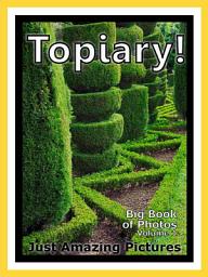 Icon image Just Topiary! vol. 1: Big Book of Plant Topiaries Photographs & Pictures