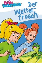 Icon image Bibi Blocksberg - Der Wetterfrosch: Erstlesebuch